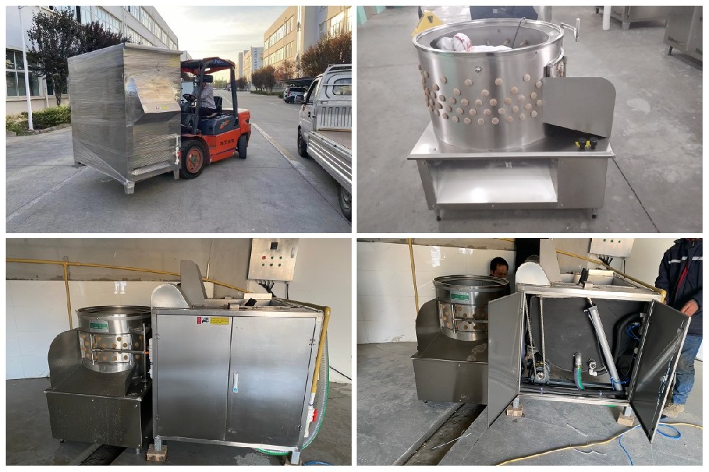 CHIKE poultry defeathering machine factory show
