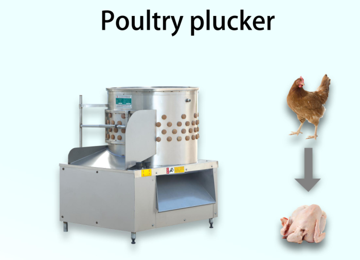 Welcome Our Client from Philippines Come to Our Factory